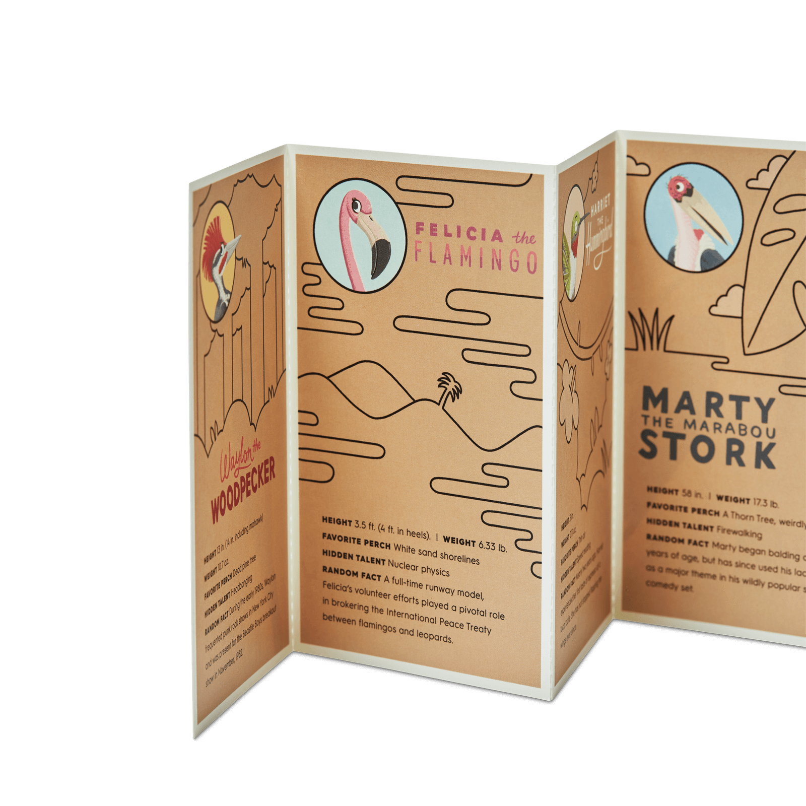 Physical Gift Cards - Physical Gift Card - Image 3